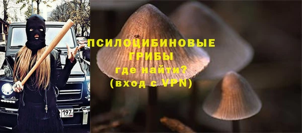 прущий лед Михайловка