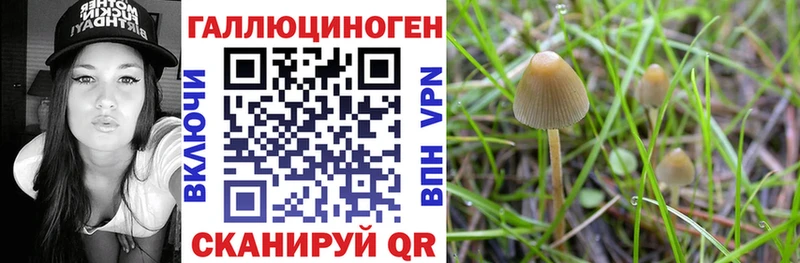 Галлюциногенные грибы ЛСД  продажа наркотиков  Дюртюли 