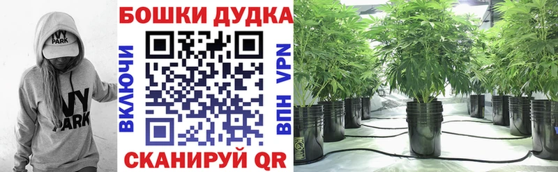 МЕГА маркетплейс  цена   Дюртюли  Шишки марихуана сатива 